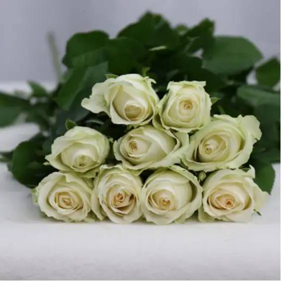 今年情人节十大热销玫瑰品种出炉！用它们制作的花礼哪款最惊艳？