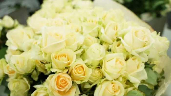 今年情人节十大热销玫瑰品种出炉！用它们制作的花礼哪款最惊艳？