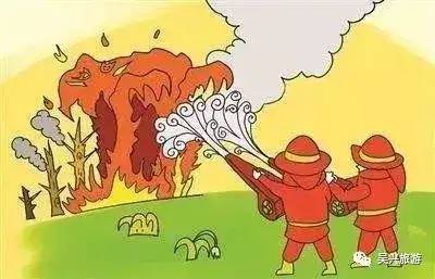 【消防】这些森林防火知识，你必须知道