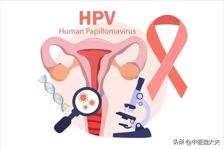 有性生活的女性一定要知道！8条关于HPV的科普知识，一次说清