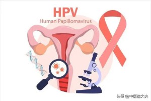 有性生活的女性一定要知道！8条关于HPV的科普知识，一次说清